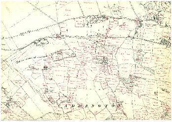 Map showing field names - Caddington north